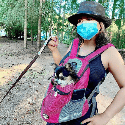 🔥2025 HOT SALE  49% OFF🔥Summer Dog Backpack🐱🐶
