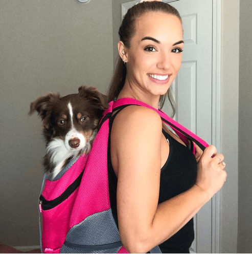 🔥2025 HOT SALE  49% OFF🔥Summer Dog Backpack🐱🐶