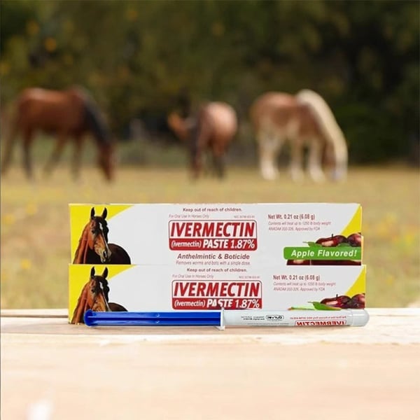 💖🔥LAST DAY SALE 50% OFF💖✈️ivermectin Horse Paste 1.87% 6.08g Tubes