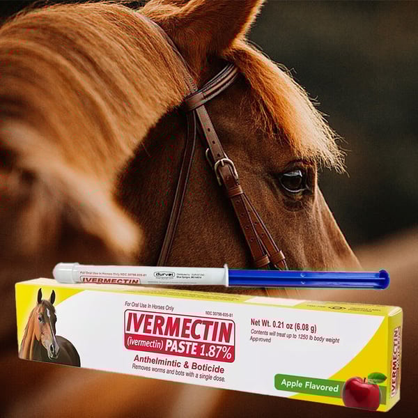 💖🔥LAST DAY SALE 50% OFF💖✈️ivermectin Horse Paste 1.87% 6.08g Tubes