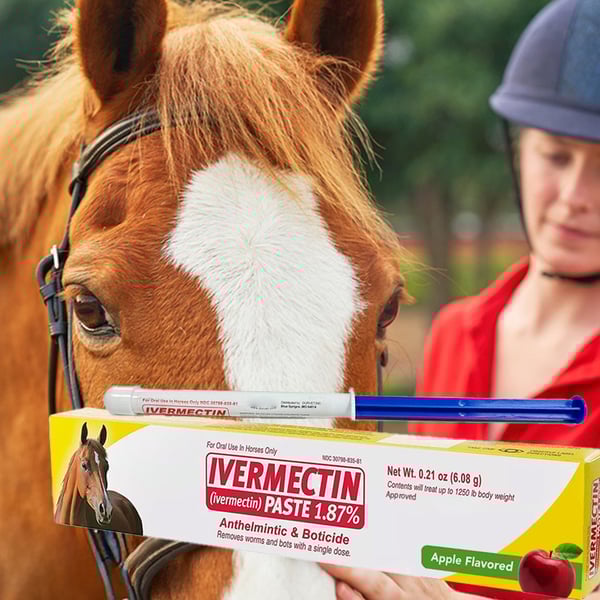 💖🔥LAST DAY SALE 50% OFF💖✈️ivermectin Horse Paste 1.87% 6.08g Tubes