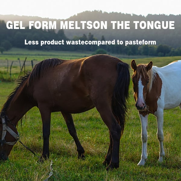 💖🔥LAST DAY SALE 50% OFF💖✈️ivermectin Horse Paste 1.87% 6.08g Tubes