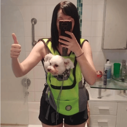 🔥2025 HOT SALE  49% OFF🔥Summer Dog Backpack🐱🐶