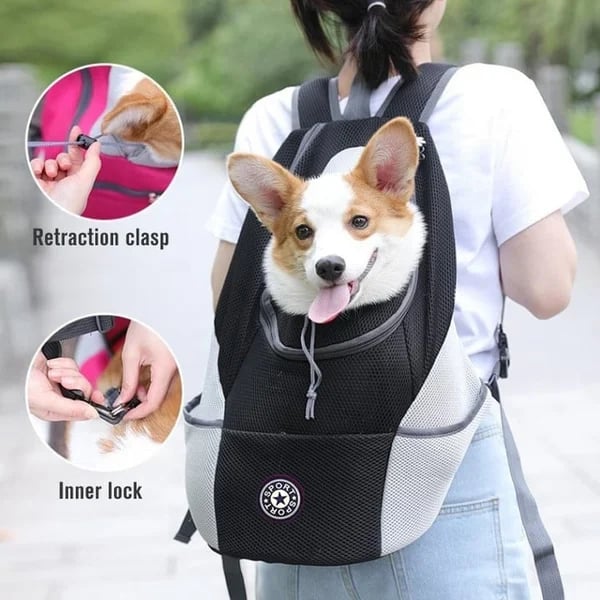 🔥2025 HOT SALE  49% OFF🔥Summer Dog Backpack🐱🐶