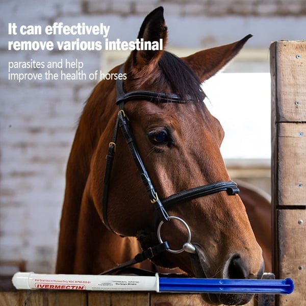 💖🔥LAST DAY SALE 50% OFF💖✈️ivermectin Horse Paste 1.87% 6.08g Tubes