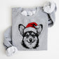 🎄🎅CHRISTMAS SPECIAL PRICE: ￡11.99!!🎁Santa Paws Christmas Dog Sweatshirt🐶