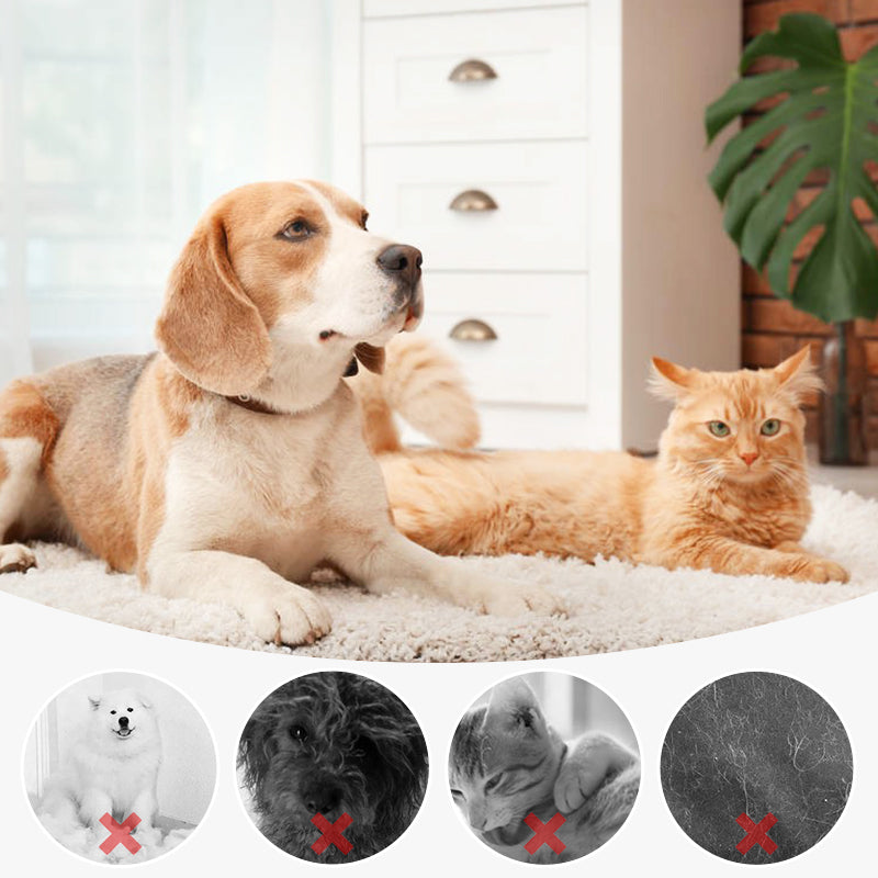 🔥🎉2025 HOT SALE🎉 49% OFF-Pet Spray Hair Removal Comb